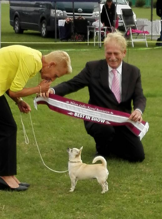 Jacko — NZ Grand Champion