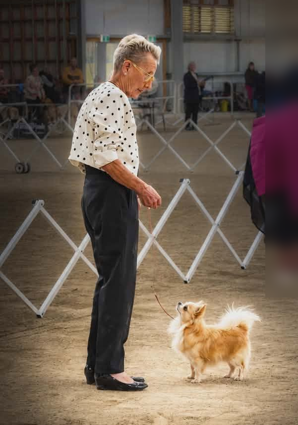 Yvonne Tester — Salinacruz Kennels